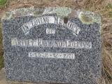 image of grave number 452531